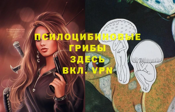 spice Михайлов