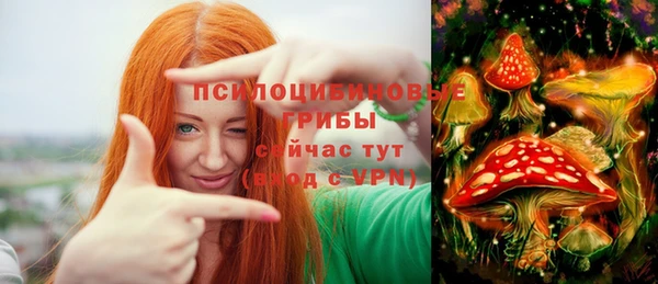 mdpv Михайловск