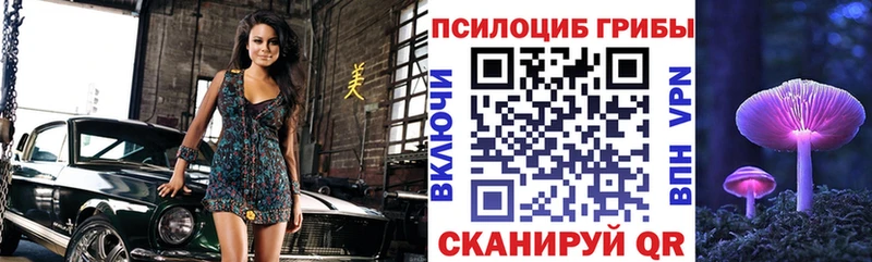 Псилоцибиновые грибы GOLDEN TEACHER Великий Новгород