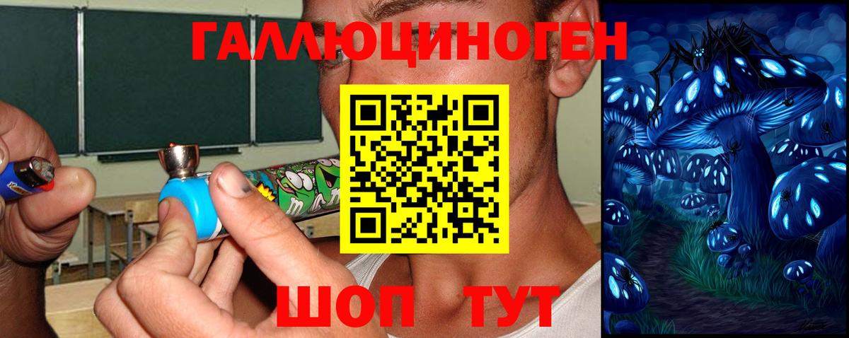 Псилоцибиновые грибы Cubensis Великий Новгород