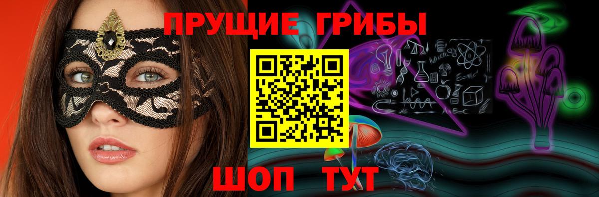 что такое наркотик  Великий Новгород  Псилоцибиновые грибы ЛСД  Псилоцибиновые грибы GOLDEN TEACHER 